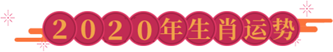 生肖运势详解